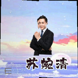 苏婉清