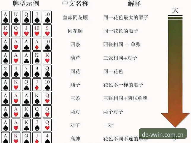 德赢体育注册使用指南：从入门到精通的实用技巧与必备知识